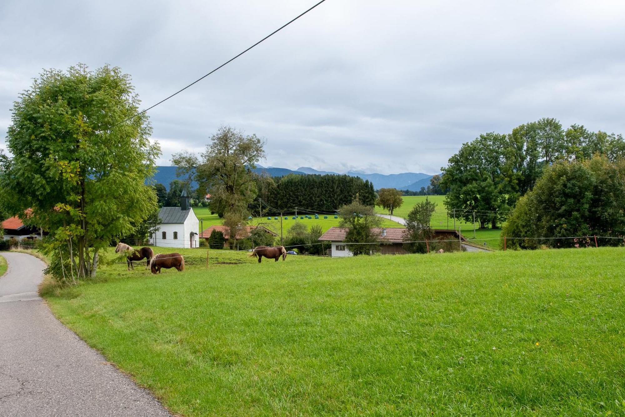 Schmidtler's Nest Apartment Warngau